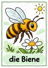 Frühling – 10 Poster & 20 Bildkarten | DIN A4 und A6 | Wortschatz, Sprachförderung, DaZ, Kita & Grundschule – Materialseite 4