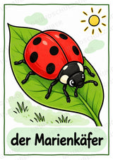 Frühling – 10 Poster & 20 Bildkarten | DIN A4 und A6 | Wortschatz, Sprachförderung, DaZ, Kita & Grundschule – Materialseite 5