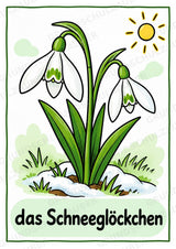 Frühling – 10 Poster & 20 Bildkarten | DIN A4 und A6 | Wortschatz, Sprachförderung, DaZ, Kita & Grundschule – Materialseite 6