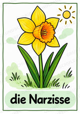 Frühling – 10 Poster & 20 Bildkarten | DIN A4 und A6 | Wortschatz, Sprachförderung, DaZ, Kita & Grundschule – Materialseite 7