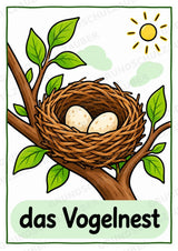 Frühling – 10 Poster & 20 Bildkarten | DIN A4 und A6 | Wortschatz, Sprachförderung, DaZ, Kita & Grundschule – Materialseite 9