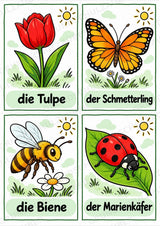 Frühling – 10 Poster & 20 Bildkarten | DIN A4 und A6 | Wortschatz, Sprachförderung, DaZ, Kita & Grundschule – Materialseite 12