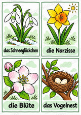 Frühling – 10 Poster & 20 Bildkarten | DIN A4 und A6 | Wortschatz, Sprachförderung, DaZ, Kita & Grundschule – Materialseite 13