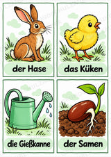 Frühling – 10 Poster & 20 Bildkarten | DIN A4 und A6 | Wortschatz, Sprachförderung, DaZ, Kita & Grundschule – Materialseite 16
