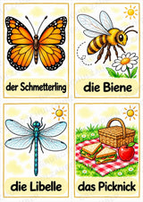 Sommer in der Grundschule | 10 Poster & 20 Bildkarten für Wortschatzarbeit, DaZ und Sprachförderung – Materialseite 16