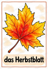 Herbst in der Grundschule | 10 Poster & 20 Bildkarten für Wortschatzarbeit, DaZ und Sprachförderung – Materialseite 2