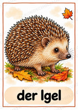 Herbst in der Grundschule | 10 Poster & 20 Bildkarten für Wortschatzarbeit, DaZ und Sprachförderung – Materialseite 6