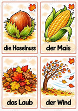 Herbst in der Grundschule | 10 Poster & 20 Bildkarten für Wortschatzarbeit, DaZ und Sprachförderung – Materialseite 15