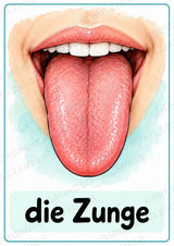 Körperteile kennenlernen – 20 Poster DIN A4 | Mein Körper, Sachunterricht Grundschule, DaZ & Sprachförderung – Materialseite 9