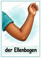 Körperteile kennenlernen – 20 Poster DIN A4 | Mein Körper, Sachunterricht Grundschule, DaZ & Sprachförderung – Materialseite 13