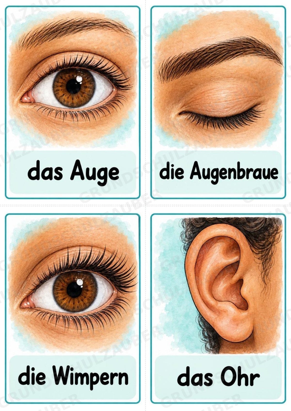 Körperteile – 32 Bildkarten DIN A6 | Mein Körper in der Grundschule, Sachunterricht, DaZ & Sprachförderung – Materialseite 3