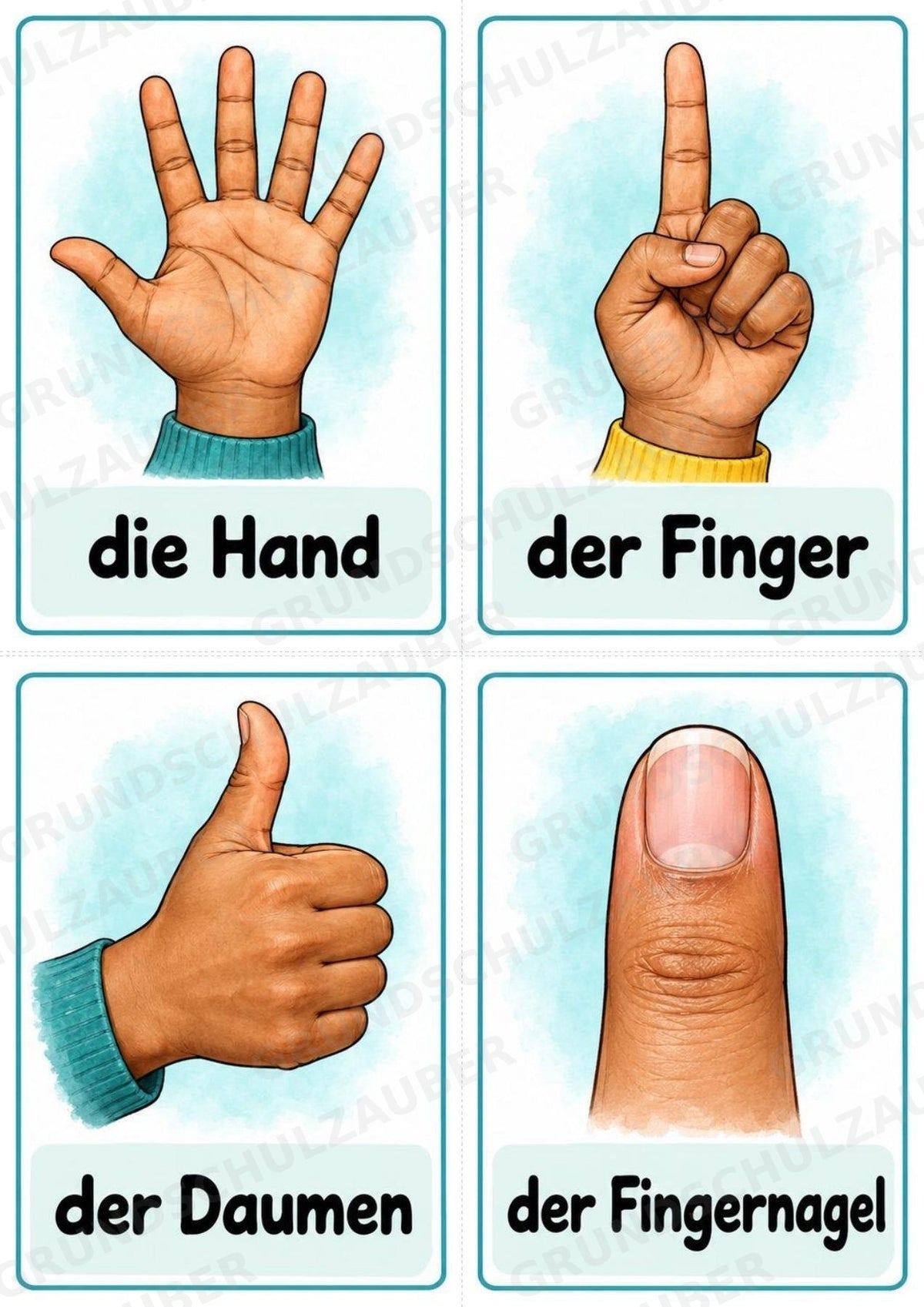 Körperteile – 32 Bildkarten DIN A6 | Mein Körper in der Grundschule, Sachunterricht, DaZ & Sprachförderung – Materialseite 7