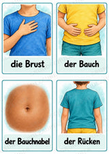 Körperteile – 32 Bildkarten DIN A6 | Mein Körper in der Grundschule, Sachunterricht, DaZ & Sprachförderung – Materialseite 8
