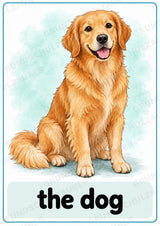 Haustiere Englisch: 10 Tierposter DIN A4 | Pets Vocabulary für den Englischunterricht – Materialseite 2