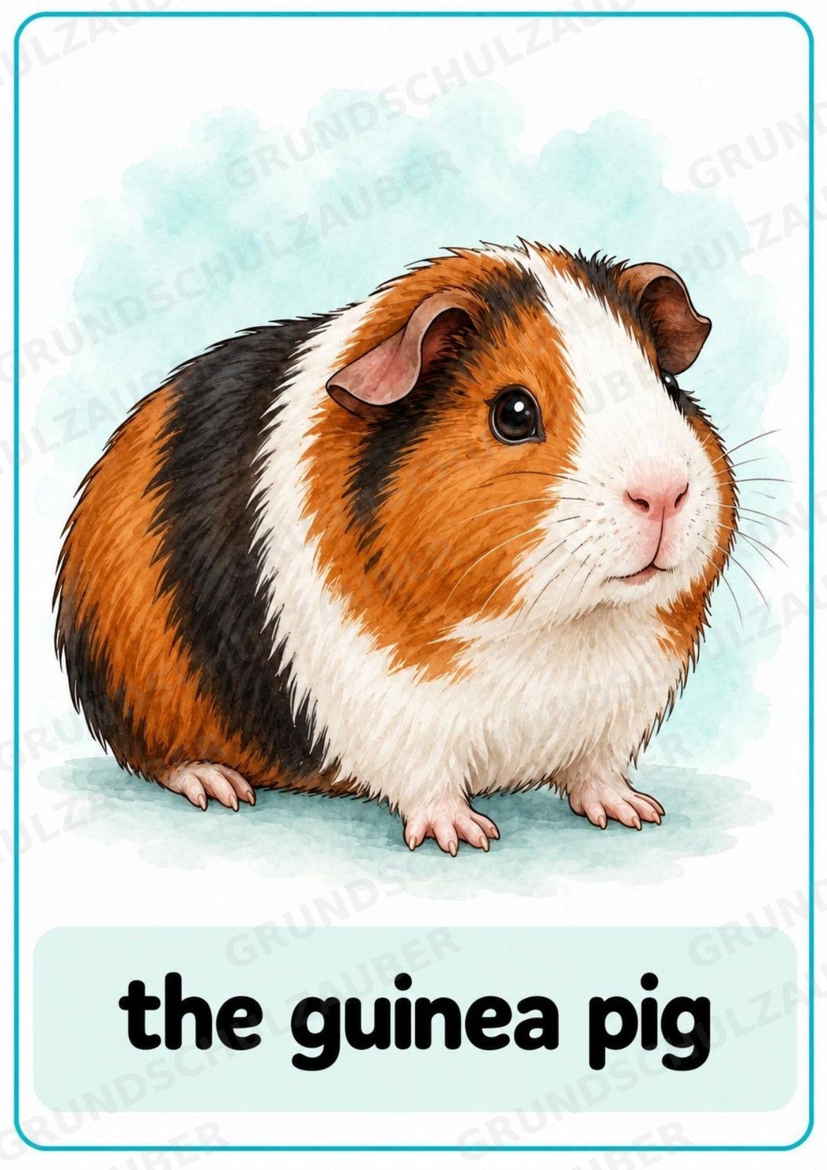 Haustiere Englisch: 10 Tierposter DIN A4 | Pets Vocabulary für den Englischunterricht – Materialseite 5