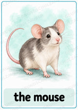 Haustiere Englisch: 10 Tierposter DIN A4 | Pets Vocabulary für den Englischunterricht – Materialseite 7