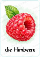 Obst Poster Deutsch: 15 Lernposter DIN A4 in Grundschrift | Wortschatz, DaZ und Sachunterricht Grundschule – Materialseite 9