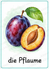 Obst Poster Deutsch: 15 Lernposter DIN A4 in Grundschrift | Wortschatz, DaZ und Sachunterricht Grundschule – Materialseite 13