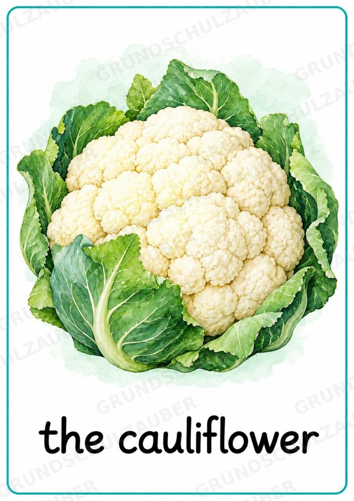 Gemüse Englisch: 15 Poster DIN A4 | Vegetable Vocabulary für den Englischunterricht – Materialseite 10