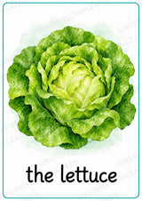 Gemüse Englisch: 15 Poster DIN A4 | Vegetable Vocabulary für den Englischunterricht – Materialseite 11