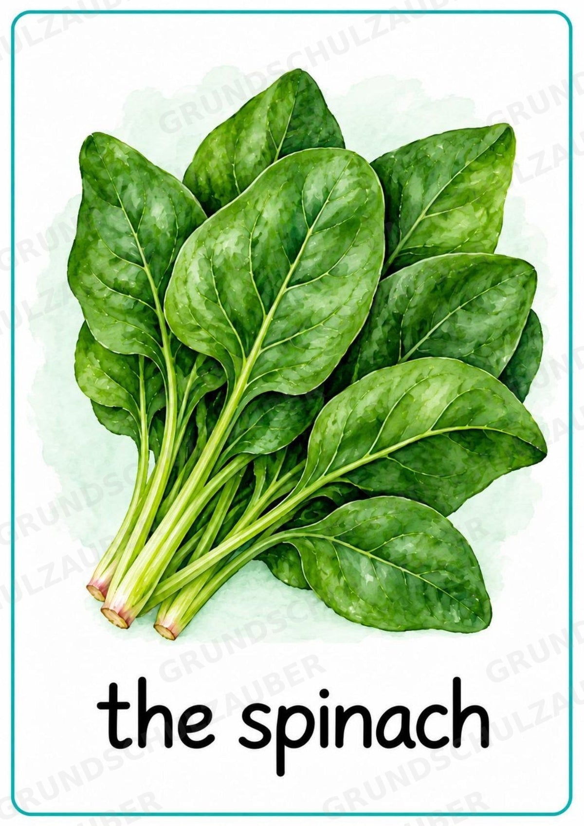 Gemüse Englisch: 15 Poster DIN A4 | Vegetable Vocabulary für den Englischunterricht – Materialseite 12