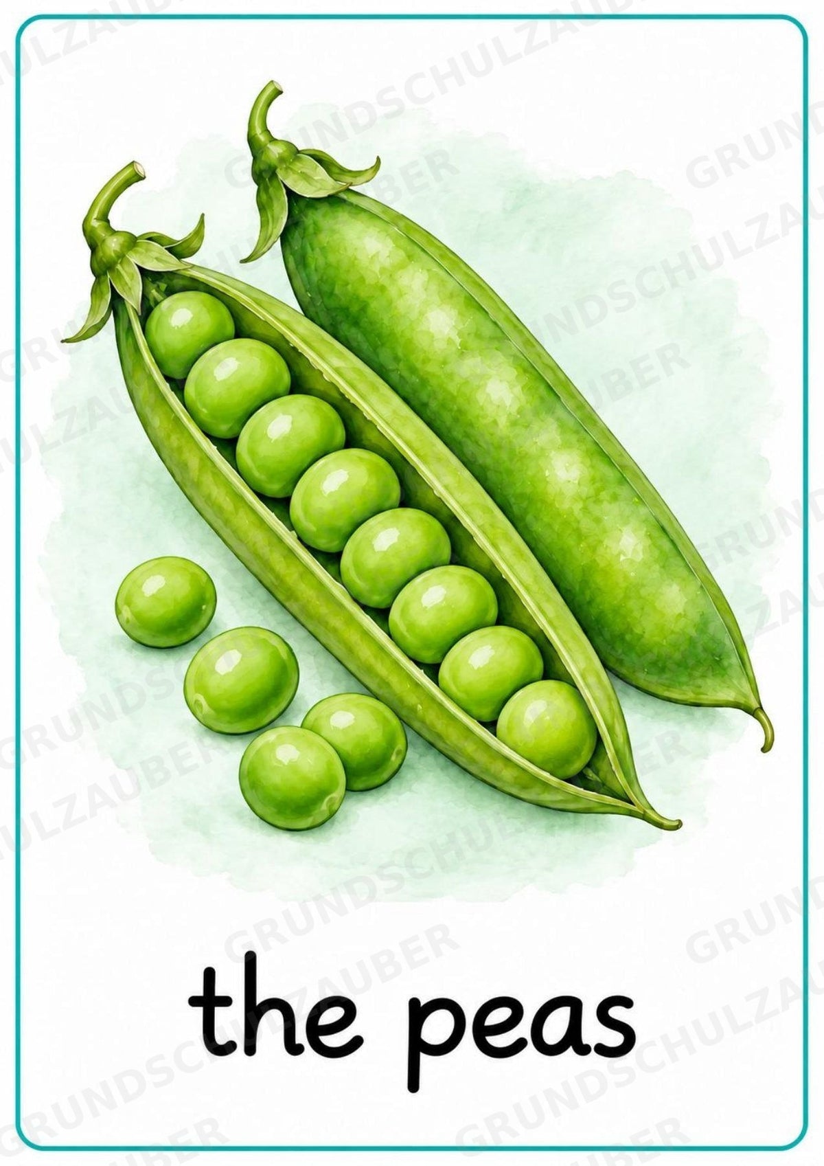 Gemüse Englisch: 15 Poster DIN A4 | Vegetable Vocabulary für den Englischunterricht – Materialseite 13