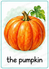 Gemüse Englisch: 15 Poster DIN A4 | Vegetable Vocabulary für den Englischunterricht – Materialseite 16