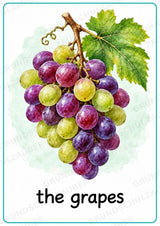 Obst Englisch: 15 Poster DIN A4 | Fruit Vocabulary und Wortschatzwand für den Englischunterricht in der Grundschule – Materialseite 10