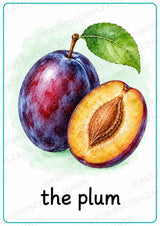 Obst Englisch: 15 Poster DIN A4 | Fruit Vocabulary und Wortschatzwand für den Englischunterricht in der Grundschule – Materialseite 13
