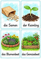 Im Garten: 32 Bildkarten DIN A6 | Wortschatz mit Artikeln für Grundschule, DaZ und Sprachförderung – Materialseite 5