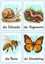 Im Garten: 32 Bildkarten DIN A6 | Wortschatz mit Artikeln für Grundschule, DaZ und Sprachförderung – Materialseite 9