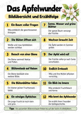 Das Apfelwunder: Kamishibai Apfel für Vorschule & Klasse 1/2 – Materialseite 3