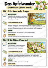 Das Apfelwunder: Kamishibai Apfel für Vorschule & Klasse 1/2 – Materialseite 16