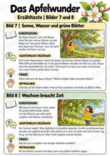 Das Apfelwunder: Kamishibai Apfel für Vorschule & Klasse 1/2 – Materialseite 19