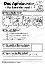 Das Apfelwunder: Kamishibai Apfel für Vorschule & Klasse 1/2 – Materialseite 22