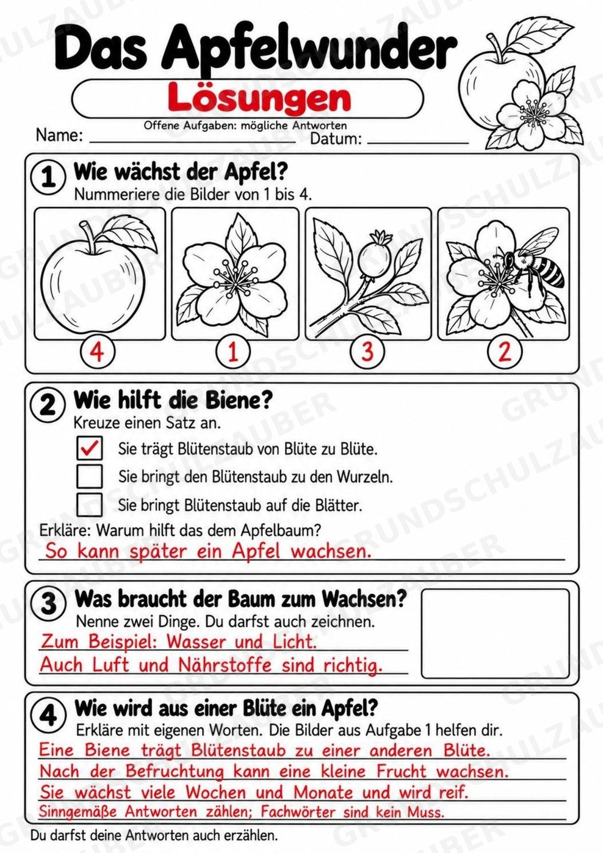 Das Apfelwunder: Kamishibai Apfel für Vorschule & Klasse 1/2 – Materialseite 23