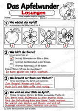 Das Apfelwunder: Kamishibai Apfel für Vorschule & Klasse 1/2 – Materialseite 23
