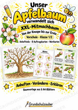 Apfelbaum XXL: Mitmachbaum zur Apfelentwicklung für Klasse 1/2 | Kamishibai – Cover
