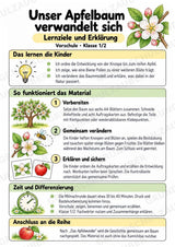 Apfelbaum XXL: Mitmachbaum zur Apfelentwicklung für Klasse 1/2 | Kamishibai – Materialseite 2