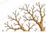 Apfelbaum XXL: Mitmachbaum zur Apfelentwicklung für Klasse 1/2 | Kamishibai – Materialseite 5