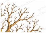 Apfelbaum XXL: Mitmachbaum zur Apfelentwicklung für Klasse 1/2 | Kamishibai – Materialseite 6
