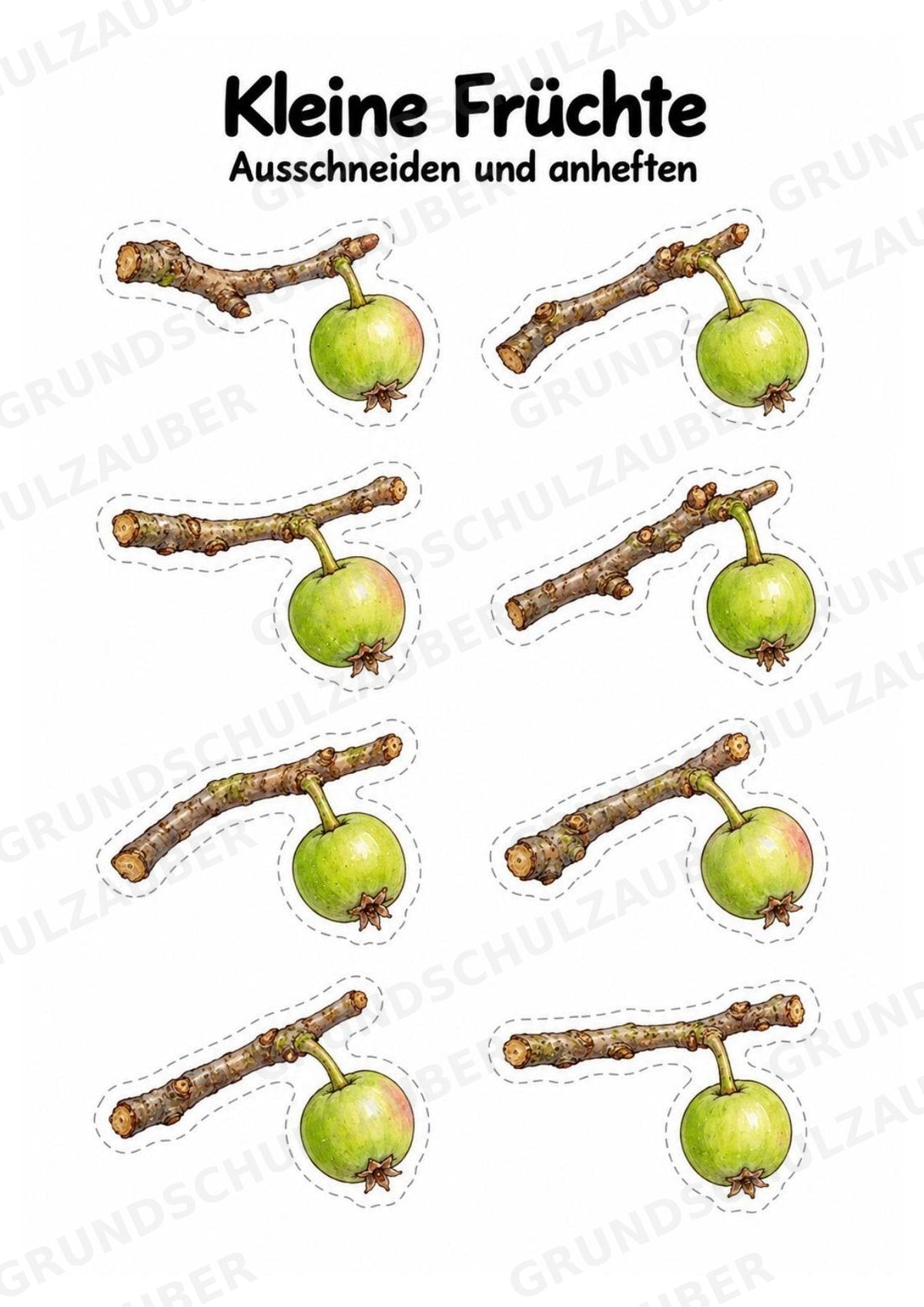 Apfelbaum XXL: Mitmachbaum zur Apfelentwicklung für Klasse 1/2 | Kamishibai – Materialseite 13