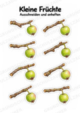 Apfelbaum XXL: Mitmachbaum zur Apfelentwicklung für Klasse 1/2 | Kamishibai – Materialseite 13