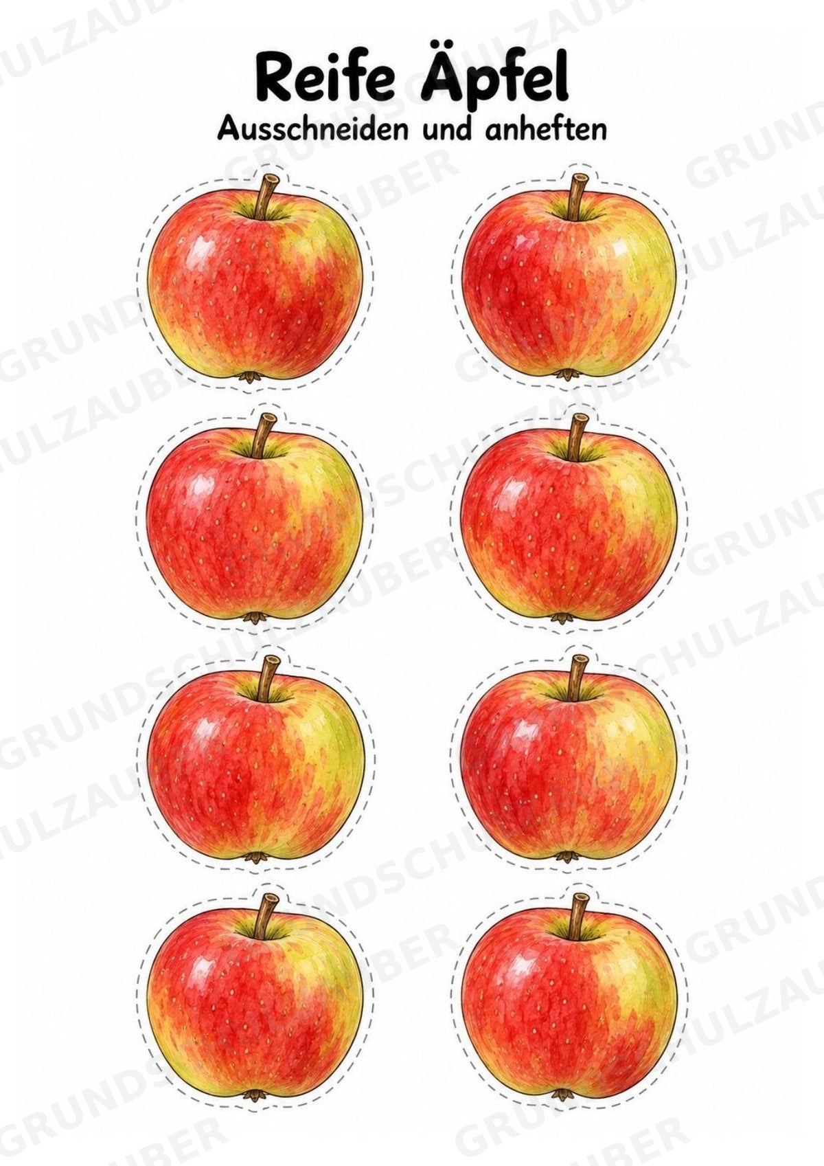 Apfelbaum XXL: Mitmachbaum zur Apfelentwicklung für Klasse 1/2 | Kamishibai – Materialseite 15
