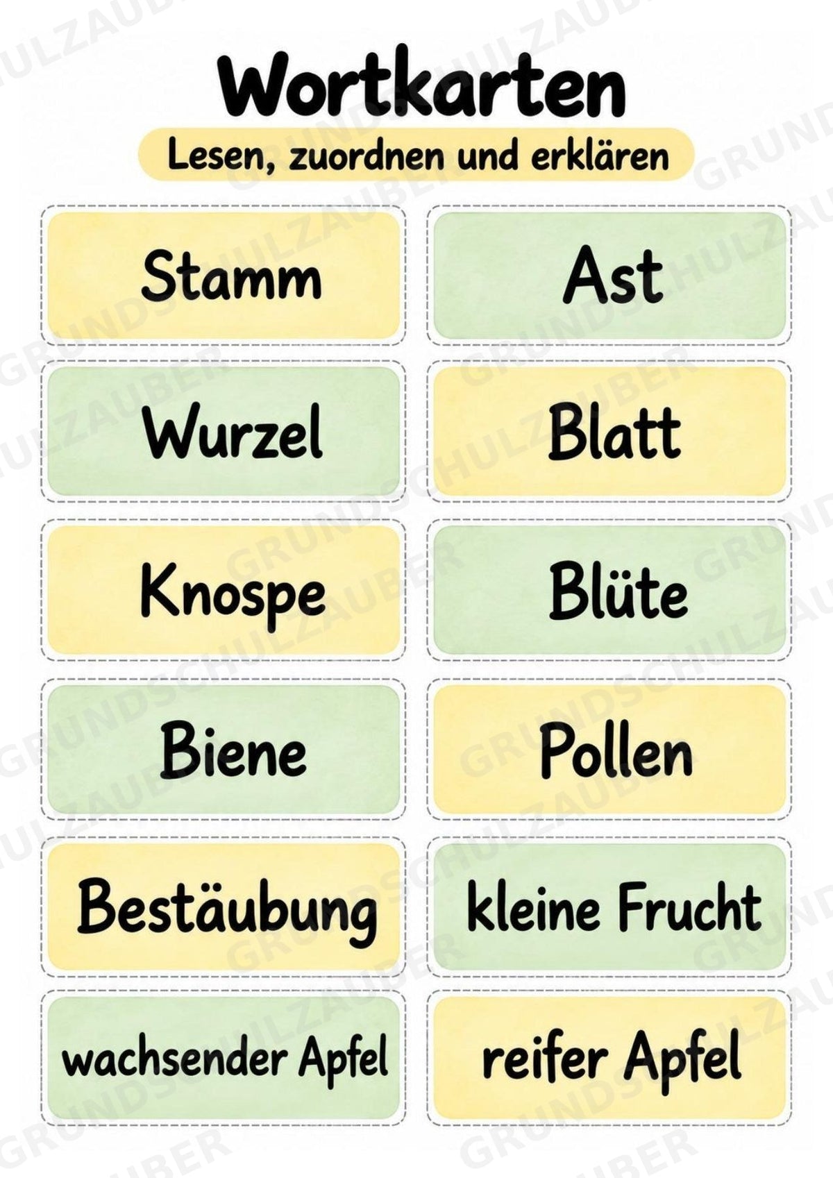 Apfelbaum XXL: Mitmachbaum zur Apfelentwicklung für Klasse 1/2 | Kamishibai – Materialseite 19