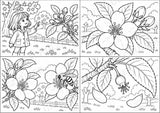 Apfeltheater basteln: Mini-Kamishibai Apfel für Klasse 1/2 | Kamishibai – Materialseite 8