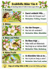 Apfeltheater basteln: Mini-Kamishibai Apfel für Klasse 1/2 | Kamishibai – Materialseite 11