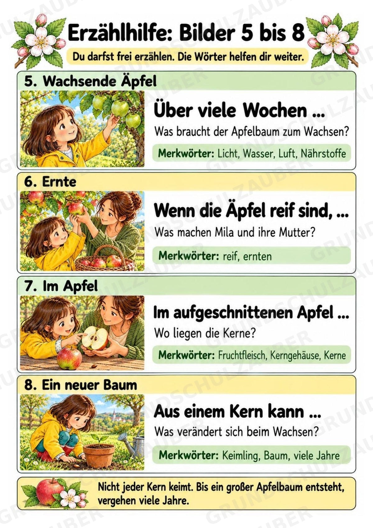 Apfeltheater basteln: Mini-Kamishibai Apfel für Klasse 1/2 | Kamishibai – Materialseite 12
