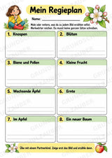 Apfeltheater basteln: Mini-Kamishibai Apfel für Klasse 1/2 | Kamishibai – Materialseite 13