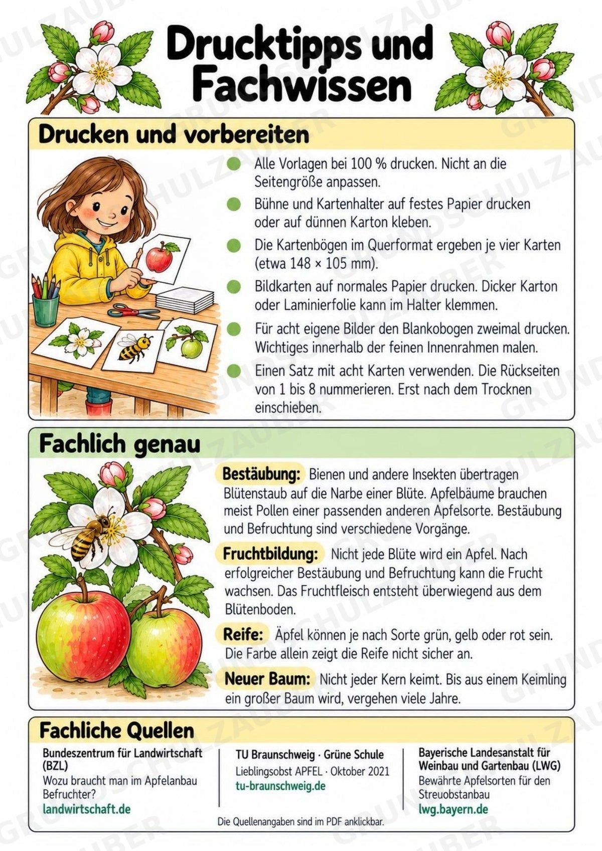 Apfeltheater basteln: Mini-Kamishibai Apfel für Klasse 1/2 | Kamishibai – Materialseite 16